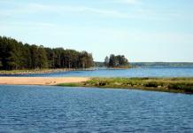 Onega järv (Karjala Vabariik, Leningradi oblast, Vologda oblast)